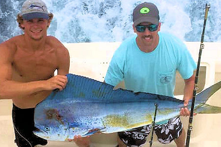 Bluish green mahi caught on a Hatteras fishing charter.